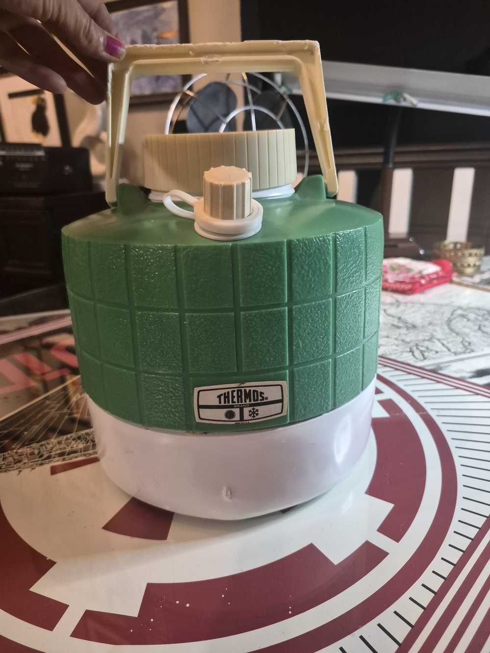 Thermos Vintage Green and White Insulated Jug